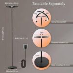 61B0tJBJf7L._AC_SX679_